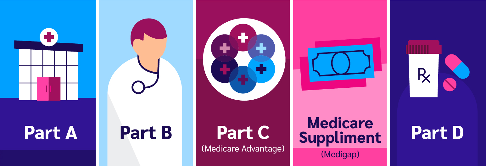 Medicare plans infographic